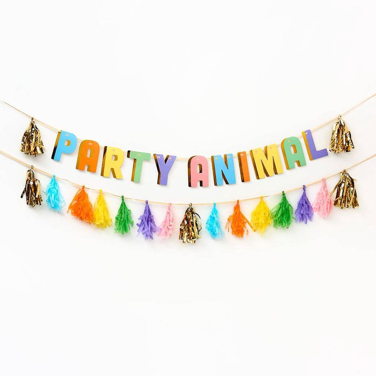 Balloon Party Animal Tassel Banner