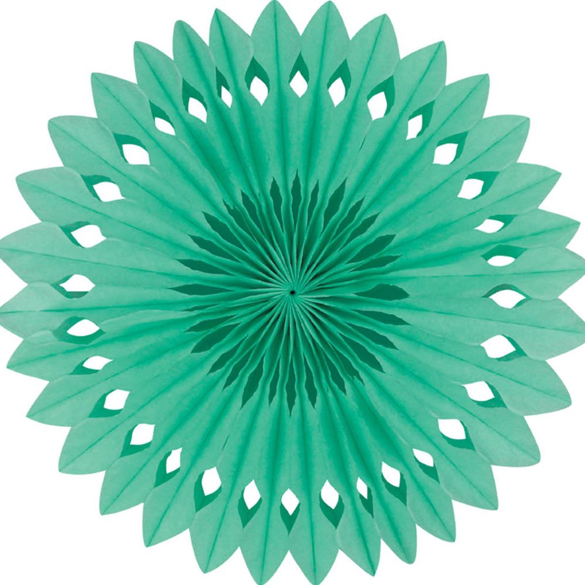 Detailed fan, 30cm, Mint