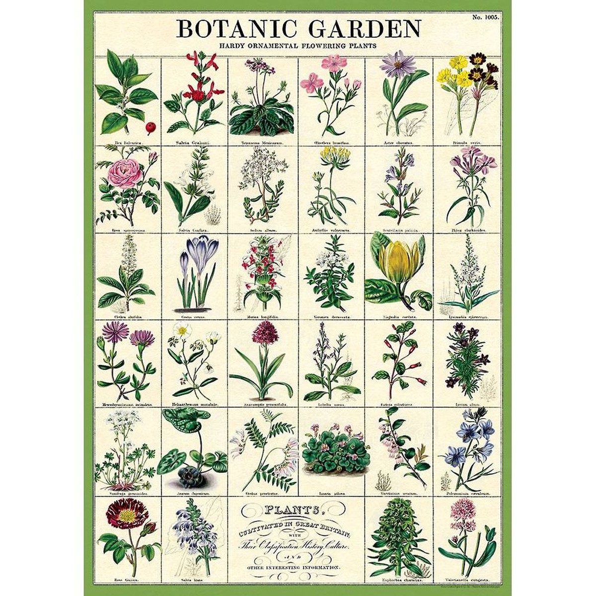 Botanic Garden Wrap & Poster