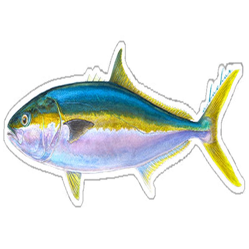 Yellowtail - 8.5"